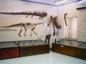 Dinosaur Museum