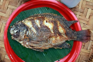 Fried whole Fish